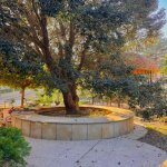 Satılır 6 otaqlı Bağ evi, Bilgəh qəs., Sabunçu rayonu 34