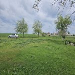Satılır Torpaq Cəlilabad 4