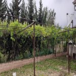 Satılır 4 otaqlı Həyət evi/villa Salyan 10
