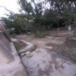 Kirayə (aylıq) 3 otaqlı Bağ evi, Mərdəkan, Xəzər rayonu 5