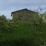 Satılır 8 otaqlı Həyət evi/villa Şamaxı 5
