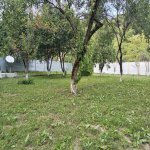 Kirayə (günlük) 2 otaqlı Yeni Tikili Qəbələ 4