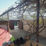 Satılır 3 otaqlı Həyət evi/villa, Binə qəs., Xəzər rayonu 18