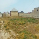 Satılır Torpaq, Məhəmmədli, Abşeron rayonu 2