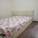 Kirayə (aylıq) 1 otaqlı Yeni Tikili, Masazır, Abşeron rayonu 1