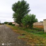 Satılır Torpaq Quba 5