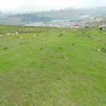 Satılır Torpaq, Çiçək qəs., Binəqədi rayonu 3