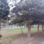 Satılır 3 otaqlı Yeni Tikili Xırdalan 6