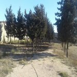 Satılır Torpaq, Şüvəlan, Xəzər rayonu 3