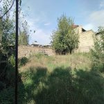 Kirayə (aylıq) Obyekt Şəki 4