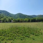 Satılır Torpaq Qəbələ 7