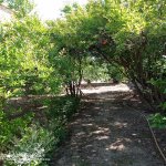 Продажа Участок, Мехдиабад, Абшерон район 5