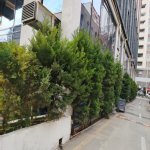 Kirayə (aylıq) 2 otaqlı Yeni Tikili, Nəriman Nərimanov metrosu, Nərimanov rayonu 19