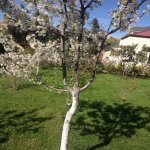 Kirayə (aylıq) 5 otaqlı Həyət evi/villa, Badamdar qəs., Səbail rayonu 22