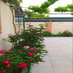 Satılır 4 otaqlı Həyət evi/villa, Buzovna, Xəzər rayonu 2
