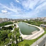 Kirayə (aylıq) 5 otaqlı Yeni Tikili, Gənclik metrosu, Nərimanov rayonu 19