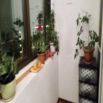 Satılır 3 otaqlı Köhnə Tikili, 8-ci mikrorayon, Binəqədi rayonu 13