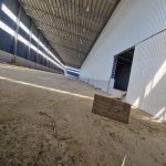 Kirayə (aylıq) Obyekt, Mehdiabad, Abşeron rayonu 4