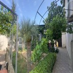 Kirayə (aylıq) 6 otaqlı Həyət evi/villa, Mərdəkan, Xəzər rayonu 17
