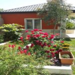 Satılır 8 otaqlı Həyət evi/villa, Novxanı, Abşeron rayonu 2