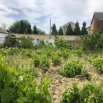 Satılır 3 otaqlı Bağ evi, Novxanı, Abşeron rayonu 12