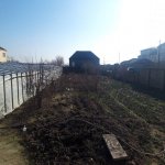 Satılır Torpaq, Novxanı, Abşeron rayonu 3