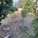 Satılır 10 otaqlı Həyət evi/villa İsmayıllı 3