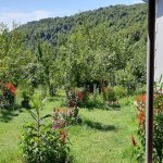 Kirayə (günlük) 4 otaqlı Bağ evi Qəbələ 4