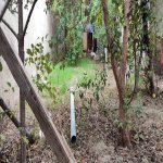 Satılır 4 otaqlı Həyət evi/villa, Saray, Abşeron rayonu 15