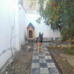 Satılır 5 otaqlı Bağ evi, Novxanı, Abşeron rayonu 5