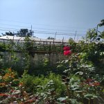 Satılır 3 otaqlı Həyət evi/villa Göyçay 10
