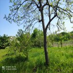 Продажа 5 комнатная Дома/Виллы Хачмаз 7