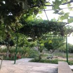 Kirayə (aylıq) 4 otaqlı Həyət evi/villa, Xəzər rayonu 31