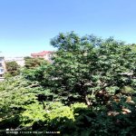 Kirayə (aylıq) 1 otaqlı Köhnə Tikili, Yasamal rayonu 14