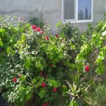 Satılır 4 otaqlı Bağ evi, Biləcəri qəs., Binəqədi rayonu 11