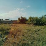 Satılır Torpaq, Nardaran qəs., Sabunçu rayonu 5