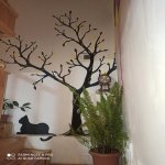 Kirayə (günlük) 5 otaqlı Həyət evi/villa Qax 5