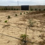 Продажа Участок, пос. Нардаран, Sea Breeze, Сабунчу район 1