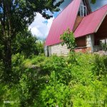 Kirayə (günlük) 3 otaqlı Həyət evi/villa İsmayıllı 9