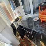Kirayə (aylıq) 2 otaqlı Yeni Tikili, Masazır, Abşeron rayonu 10