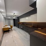 Продажа 5 комнатная Новостройка, м. Мемар Аджеми метро, Насими район 14