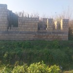 Satılır Torpaq Şabran 1