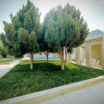 Kirayə (günlük) 3 otaqlı Bağ evi, Xəzər rayonu 10