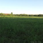 Продажа Участок Гябяля 4