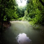 Kirayə (günlük) İstirahət Mərkəzləri Quba 11