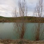 Kirayə (günlük) 4 otaqlı Həyət evi/villa Quba 2