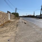 Satılır Torpaq, Koroğlu metrosu, Məhəmmədli, Abşeron rayonu 11