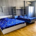 Kirayə (günlük) 3 otaqlı Yeni Tikili, 28 May metrosu, Kubinka, Nəsimi rayonu 7