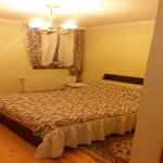 Kirayə (günlük) 5 otaqlı Həyət evi/villa Şəki 3