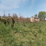 Продажа Участок Хачмаз 125